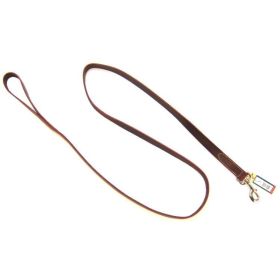 Circle T Latigo Leather Lead (size: 6' Long x 1" Wide)