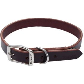 Circle T Latigo Leather Town Collar (size: 20" Long x 3/4" Wide)