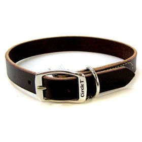 Circle T Latigo Leather Town Collar (size: 22" Long x 1" Wide)