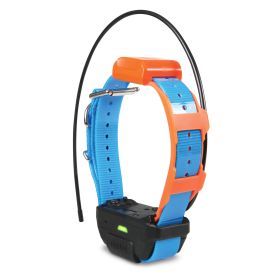 Pathfinder TRX Tracking Only Collar (Option: Blue)