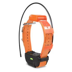 Pathfinder TRX Tracking Only Collar (Option: Orange)