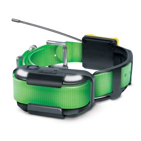 Pathfinder2 Extra Receiver Collar (Option: Green)