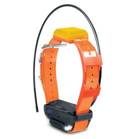 Pathfinder2 TRX Extra Receiver Collar (Option: Orange)